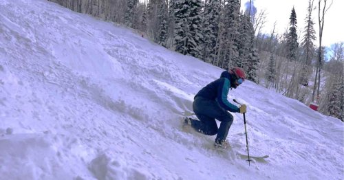 Here's What Telemark Has Learned From Its Haters