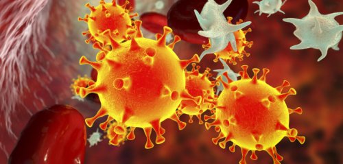 SARS-CoV-2 Fragments May Cause Problems After Infection