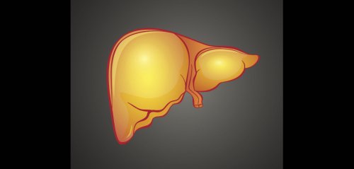 Fatty Liver Disease Is Common Among People With HIV