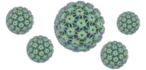 Innovative Technology Shows Great Promise Against Certain Mouth and Throat Cancers