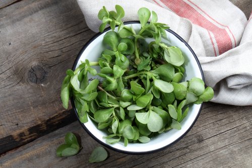This Vegetable has the Highest Level of Omega-3 Fatty Acid Essential for Human Nutrition