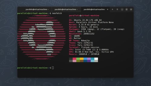 Black Box is a GTK4 Terminal App With a Unique Look - OMG! Ubuntu!