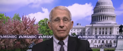 Yes, Fauci, Monkeypox Is a ‘Gay Disease’ - The American Spectator | USA News and PoliticsThe American Spectator | USA News and Politics