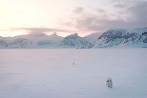 DJI et le photographe Florian Ledoux en mettent plein la vue dans cette vidéo sur l’Arctique