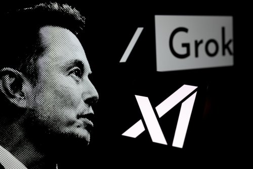 L’IA d’Elon Musk panique : Grok voit des complots racistes partout, même sous les photos de chiots
