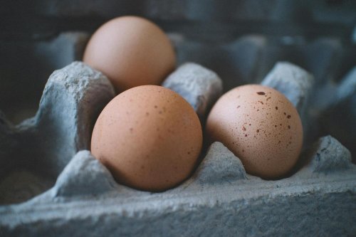 Pourquoi les œufs de poule ne sont pas tous de la même couleur ?