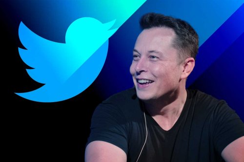Elon Musk vs Twitter : qui a raison sur le nombre de faux comptes ?
