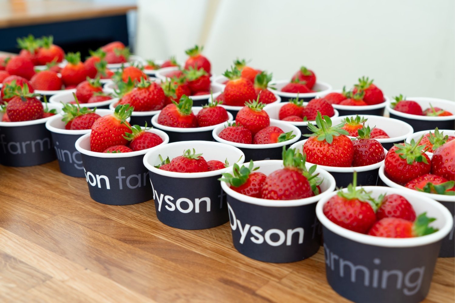 Dyson : les sèche-cheveux, les chauffages et… les fraises ?