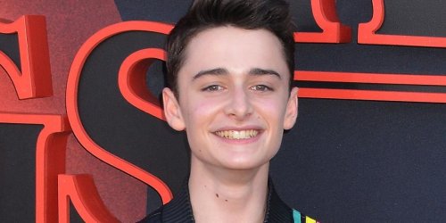 Noah Schnapp Praises Will's Stranger Things Storyline, Teases Season 5 ...