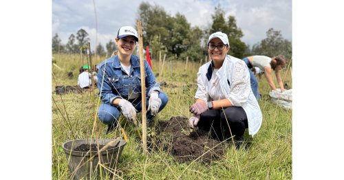 Bupa anuncia la plantación de más de 17.000 árboles para avanzar en el compromiso con la salud de las personas en nuestra región