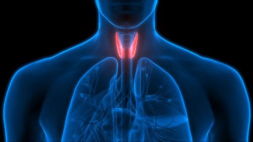 Consumer Health: What do you know about the types of thyroid cancer? - Mayo Clinic News Network