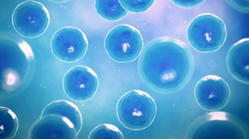 Science Saturday: Demystifying healing potential of stem cells