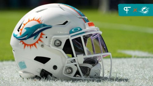 Another Record-Breaking Year for Dolphins Cancer Challenge