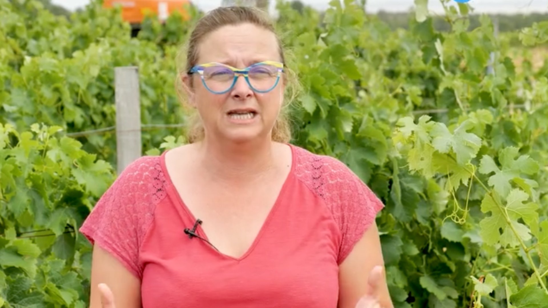 « Psychologiquement je ne peux plus » : Cathy (L’amour est dans le pré) annonce une mauvaise nouvelle