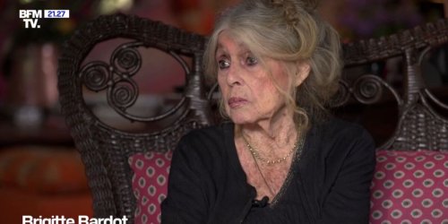 "On ne peut pas à 90 ans se refaire des amis..." : Brigitte Bardot s'exprime sur le vidé laissé par la mort de ses amis, Alain Delon et Jean-Paul Belmondo