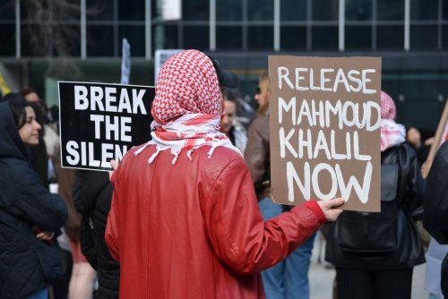 Is Growing Islamophobia a Symptom of Democracy in Decline?