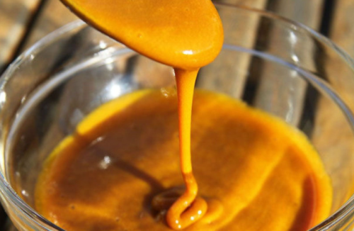 Honey with Turmeric: The Most Potent Antibiotic That not even Doctors Can Explain – Promellu