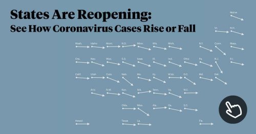 States Are Reopening: See How Coronavirus Cases Rise or Fall