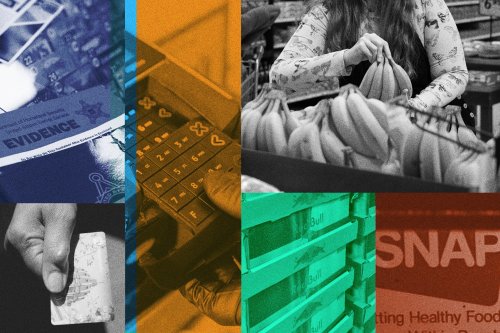 How scammers are stealing millions from food stamp recipients