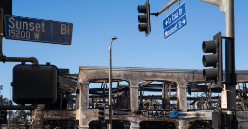 After the Palisades fire, what can we really rebuild? 