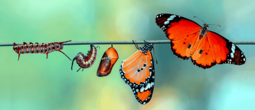 Change Is a Process