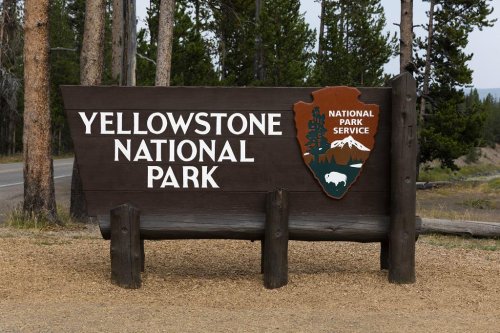 Firings, Evictions, Broken Promises: How Yellowstone Tour Guides Are Building Momentum for Change