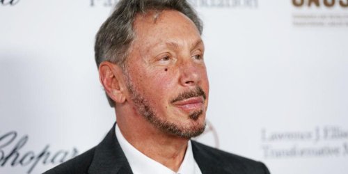 Larry Ellison reportedly participated in a call about contesting the 2020 election