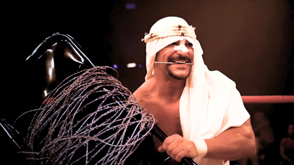 Pro Wrestling Stories
