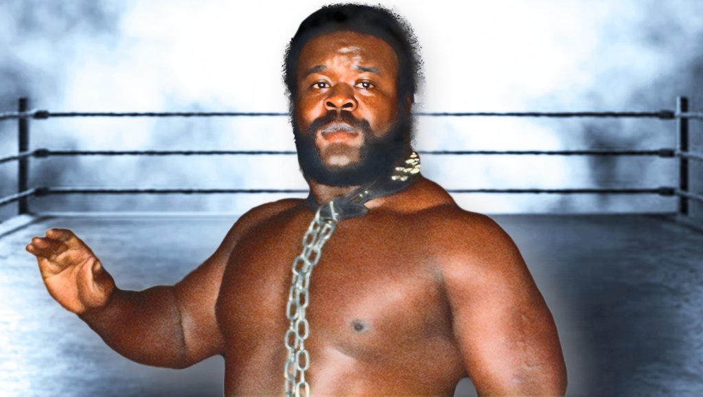 Pro Wrestling Stories