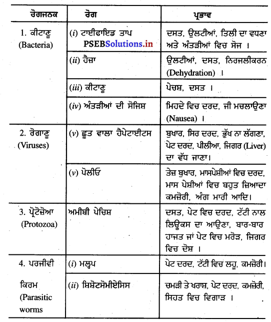 PSEB 11th Class Environmental Education Book Flipboard
