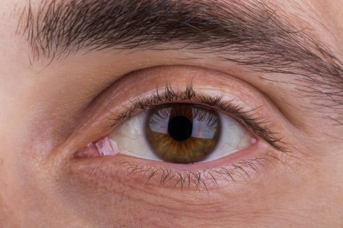 Ce que la couleur de vos yeux révèle de votre personnalité - Psychologies.com