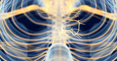 Diaphragmatic Breathing Exercises and Your Vagus Nerve