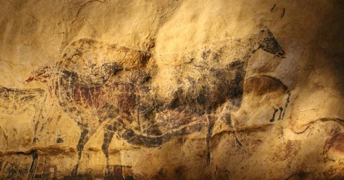 The Hunter-Gatherer ADHD Brain