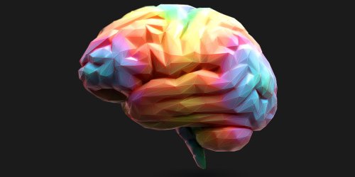 New study identifies structural brain differences in children with autism that are linked to language impairment