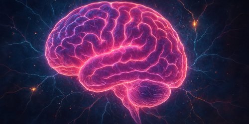Scientists identify specific cognitive skill linked to longer life in older adults