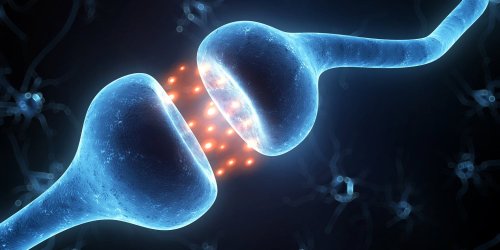 New research links antidepressant effects of escitalopram to endocannabinoid system changes