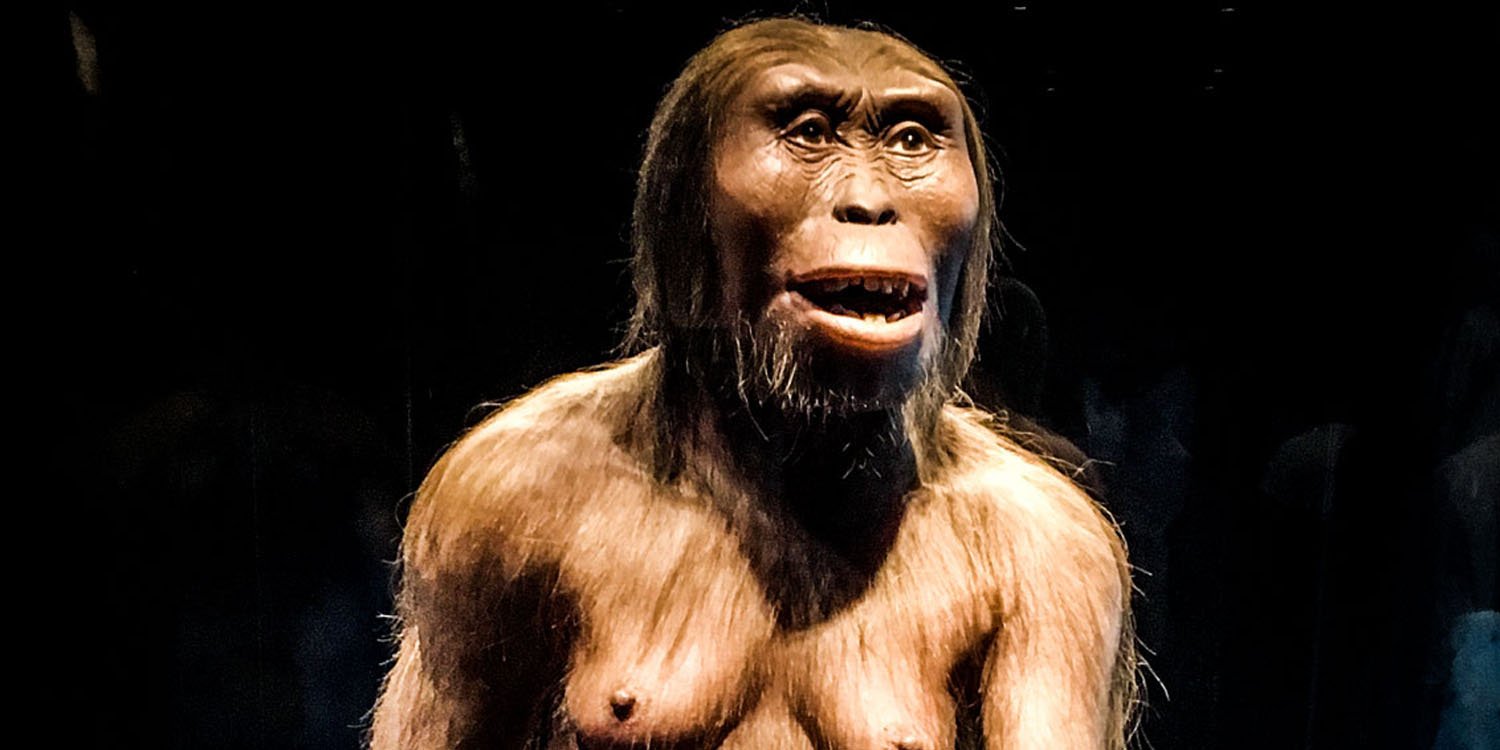 What the 3.2 million-year-old Lucy fossil reveals about nudity and shame