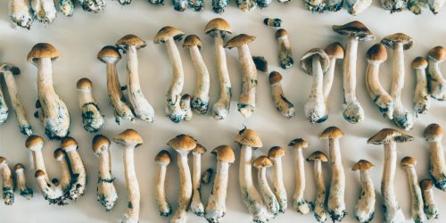 A single, moderate dose of psilocybin reduces depressive symptoms for at least two weeks, controlled study finds