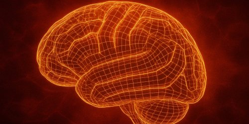 Neuroscientists use AI to uncover distinct brain networks linked to narcissism and Machiavellianism
