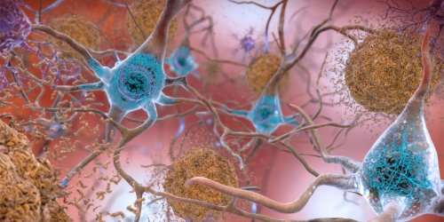 40Hz sensory gamma rhythm: A new hope in Alzheimer's treatment through enhanced brain clearance