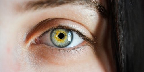 Eye movements could be the missing link in our understanding of memory