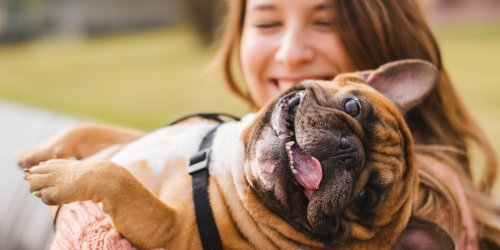 New study sheds light on the positive and negative impacts of dog ownership on psychological wellbeing