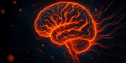 Glymphatic dysfunction linked to cognitive performance deficits in adults with ADHD, study finds