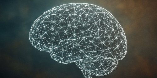 Long-term obesity patterns linked to brain aging and cognitive decline