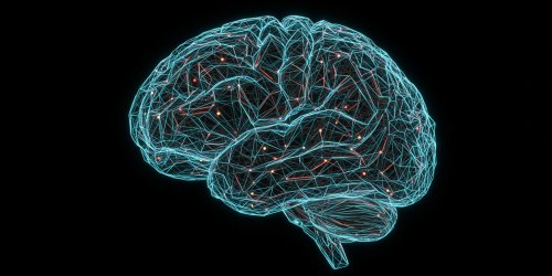 Your bodily awareness guides your morality, new neuroscience study suggests
