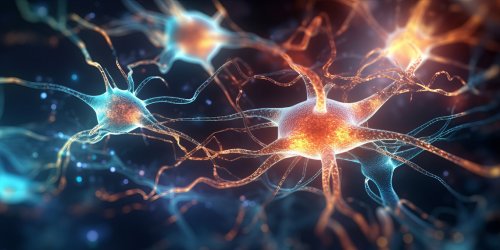 Vagus nerve stimulation changes brain chemistry, hinting at therapeutic potential