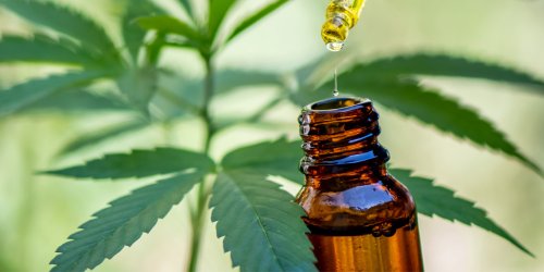 Children with autism show improvement after being treated with cannabidiol-rich medicinal cannabis