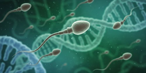 Sperm may carry effects of childhood maltreatment to future generations