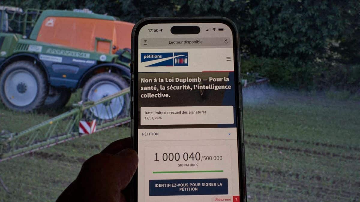 Loi Duplomb : Que cachent vraiment les néonicotinoïdes ? On fait le point sur les dangers