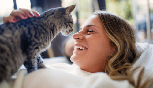Votre chat adore quand vous lui parlez ainsi (et c’est prouvé)